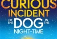 The Curious Incident of the Dog in the Night-Time